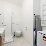 Premium Airport By Renters