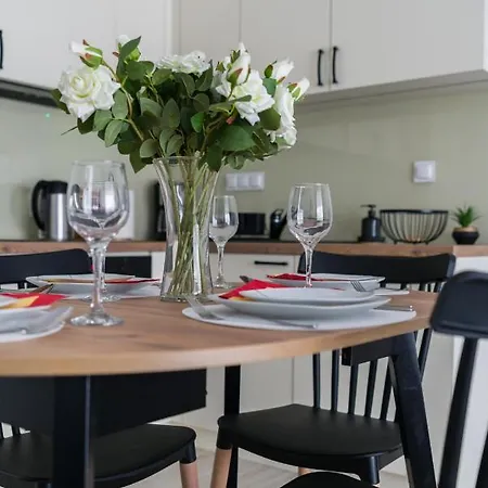 Apartment Premium Airport By Renters *