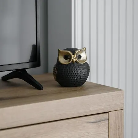 Premium Airport By Renters 포즈난