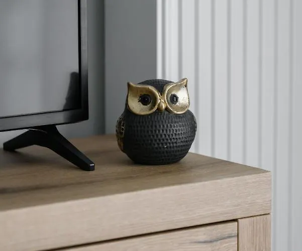 Premium Airport By Renters بوزنان