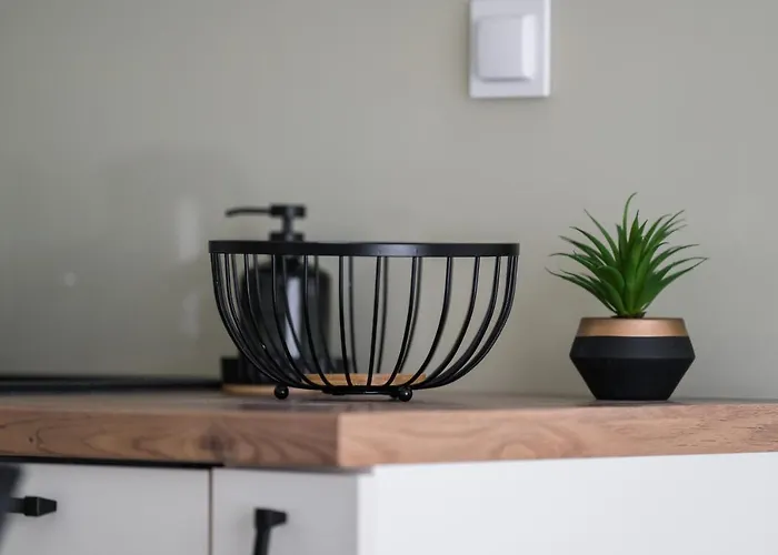 Premium Airport By Renters *