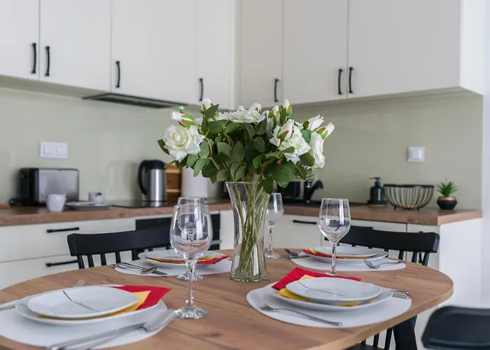 Premium Airport By Renters *