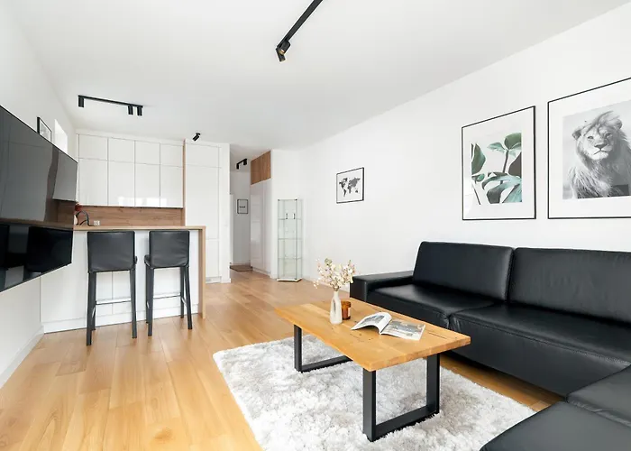 Premium Airport By Renters