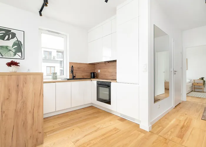 Premium Airport By Renters