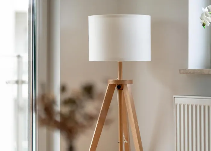 Premium Airport By Renters